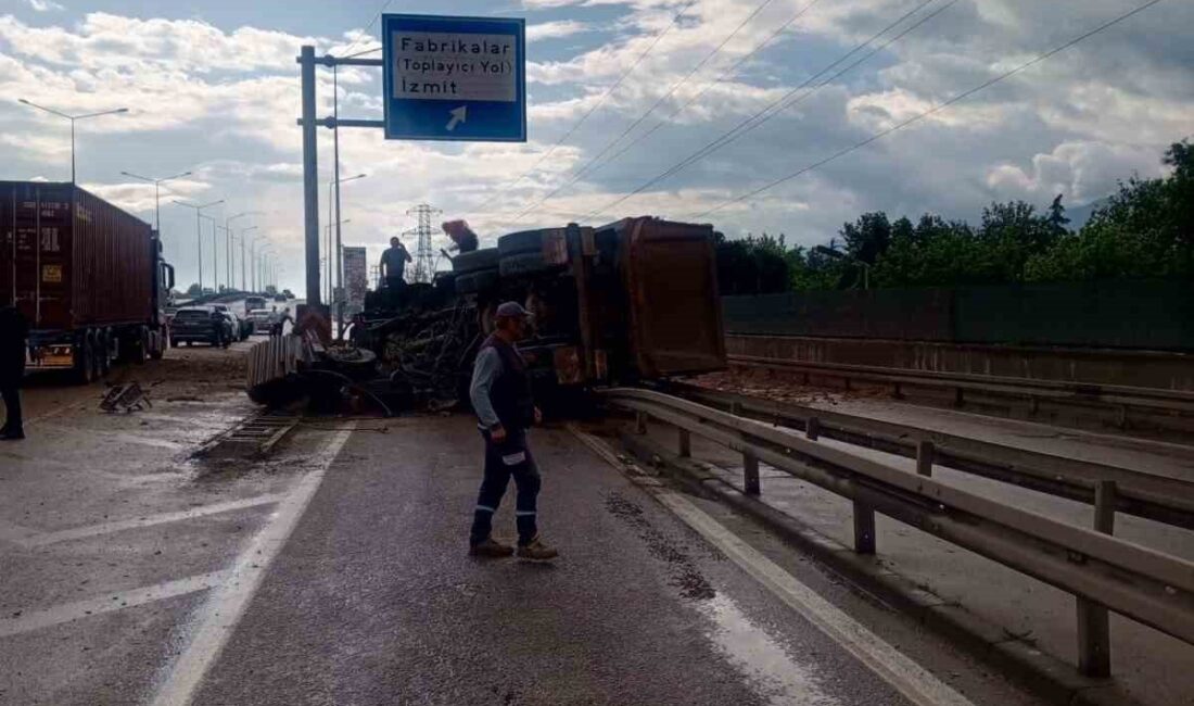 Kocaeli’nin Başiskele ilçesinde yola aniden çıkan köpeğe çarpmamak için manevra