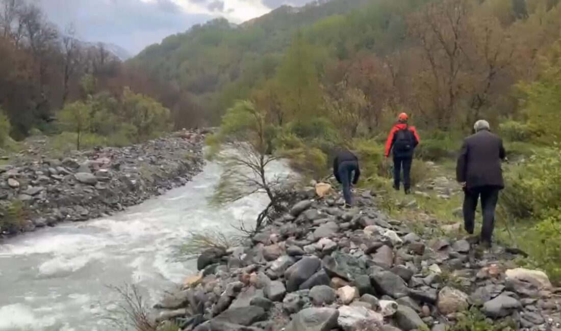 Muş’un Cevizlidere köyünde köprüden geçerken dengesini kaybederek çaya düşen kadın,