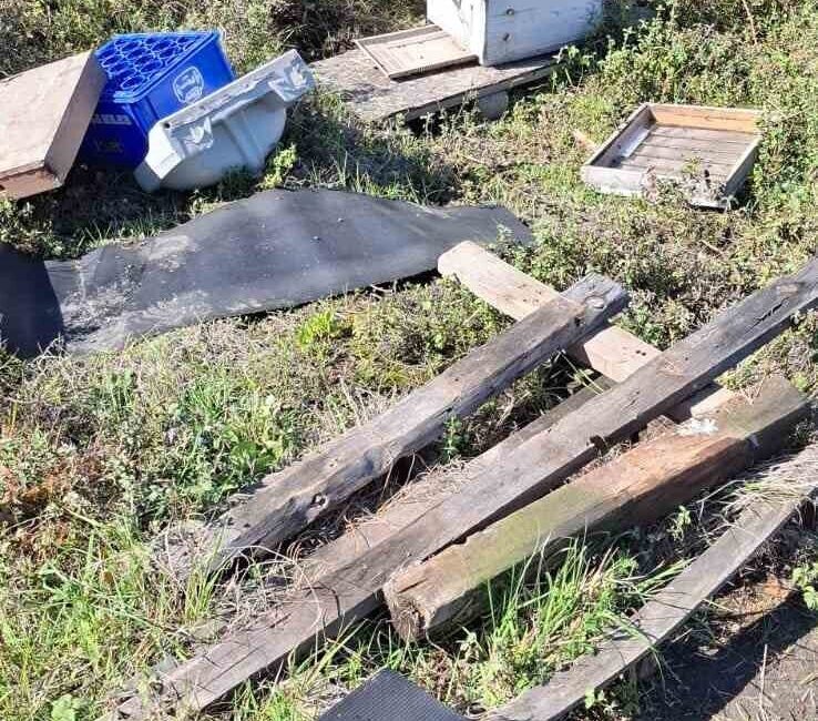 Zonguldak şehir merkezine sadece 7 kilometre uzaklıkta arıcılık yapan Bilgin