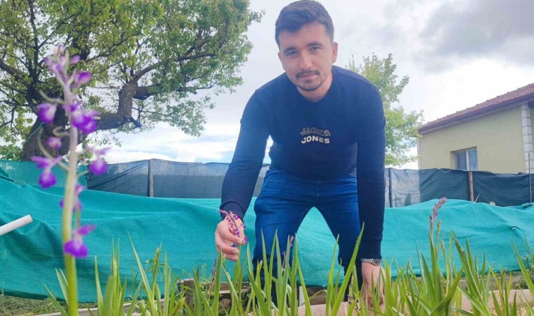 Yozgat’ta 26 yaşındaki genç girişimci Emre Sarıaslan, köyündeki bahçede yaptığı