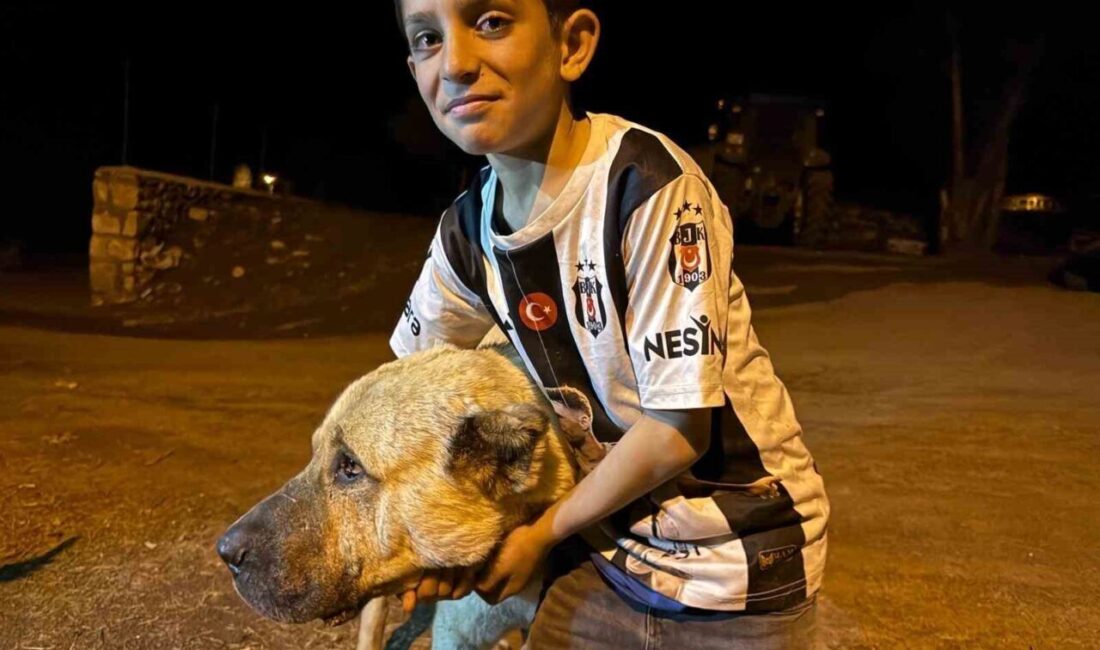 Erzurum’un Karayazı ilçesi Çakmaközü Mahallesi’nde iki ayının saldırısına uğrayan 10
