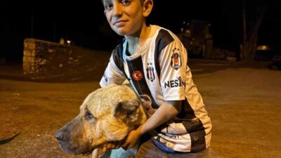 Erzurum’un Karayazı ilçesi Çakmaközü Mahallesi’nde iki ayının saldırısına uğrayan 10