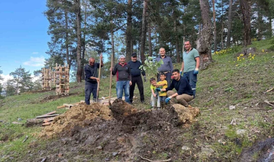 Sivas’ın Koyulhisar ilçesine bağlı Çandır köyünde yaşayan vatandaşlar örnek bir