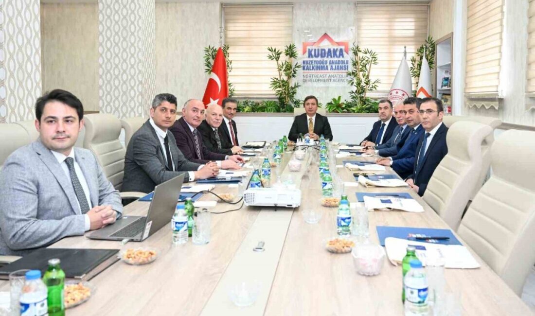 Kuzeydoğu Anadolu Kalkınma Ajansı (KUDAKA) 164. Yönetim Kurulu Toplantısı, dönem