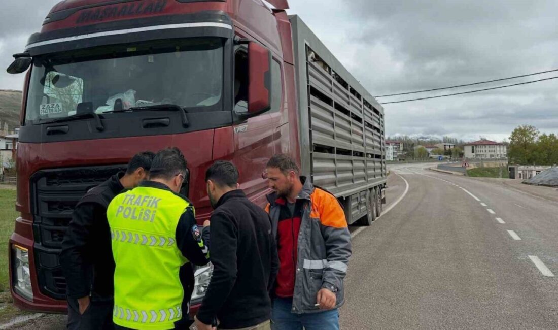 Bayburt’un Aydıntepe ilçesinde, Kurban Bayramı öncesi artan hayvan hareketliliği nedeniyle