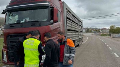 Bayburt’un Aydıntepe ilçesinde, Kurban Bayramı öncesi artan hayvan hareketliliği nedeniyle