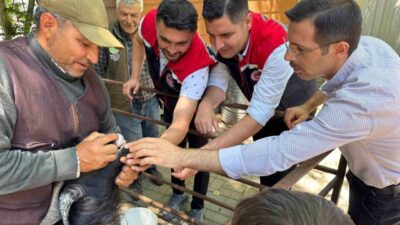 Aydın’ın Bozdoğan ilçesinde Kurban Bayramı öncesi hayvan pazarında denetim gerçekleştirildi.
