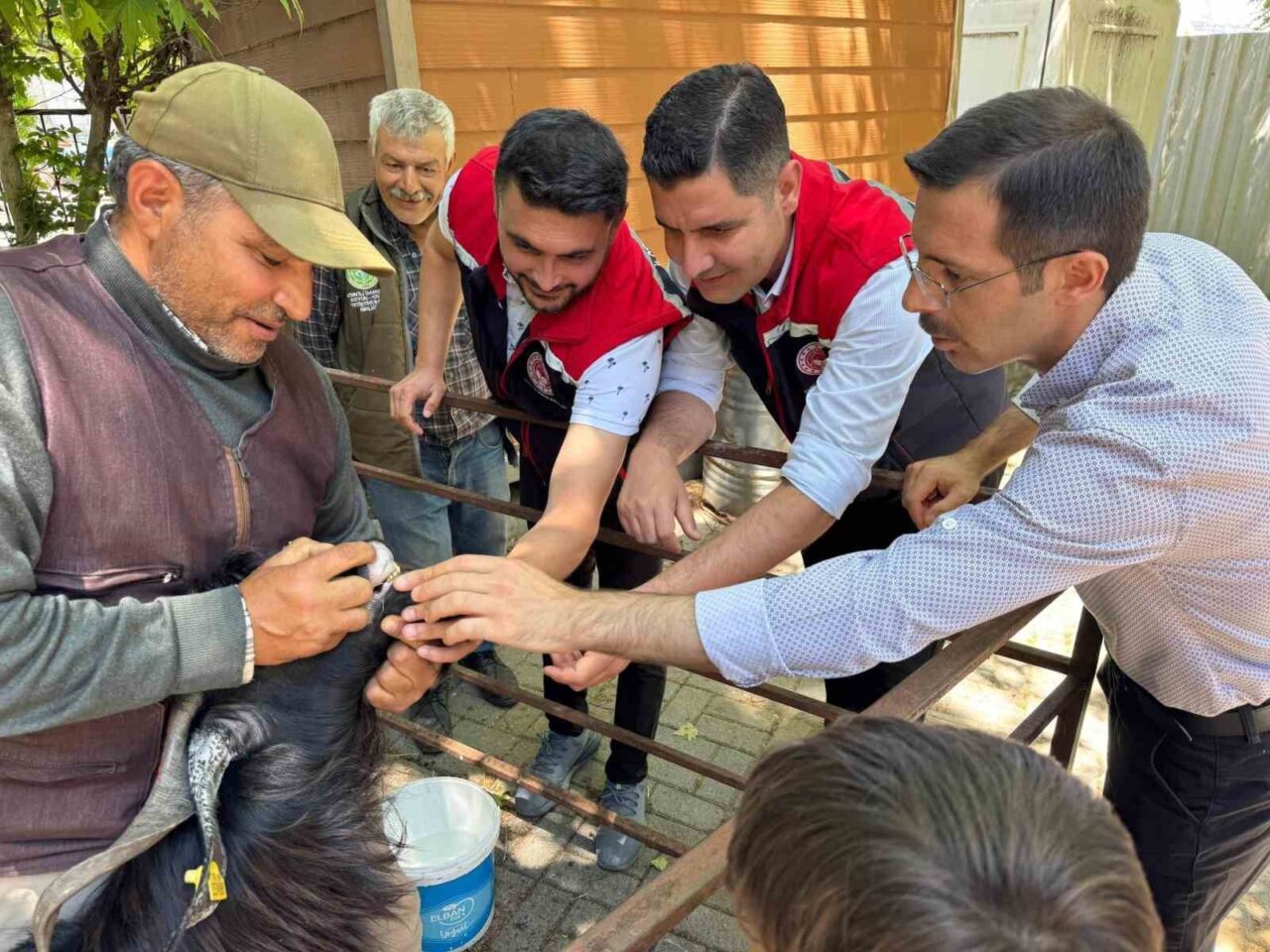 Aydın’ın Bozdoğan ilçesinde Kurban Bayramı öncesi hayvan pazarında denetim gerçekleştirildi.