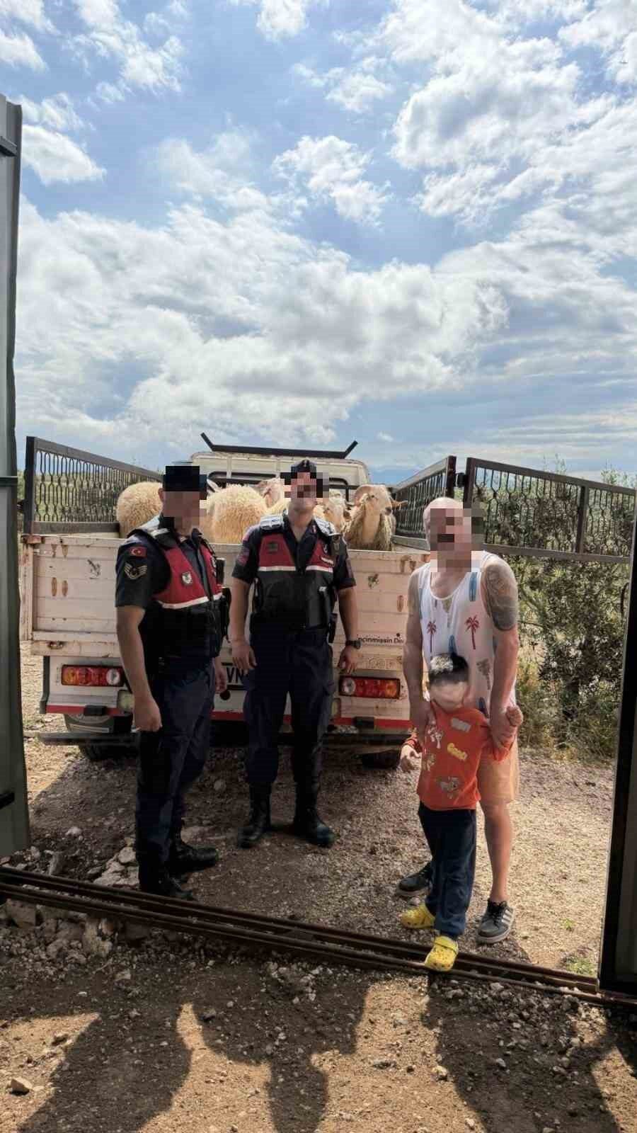 Aydın’ın Didim ilçesinde Kurban Bayramı öncesi çalınan 13 küçükbaş hayvan,