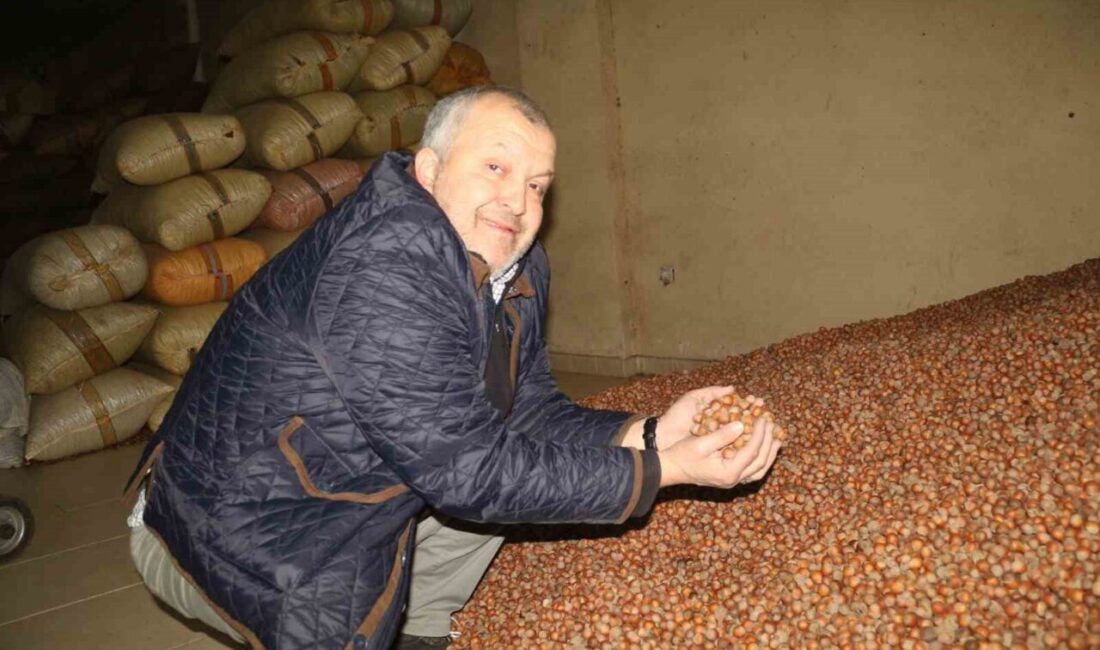Türkiye’nin önemli fındık üretim merkezlerinden Giresun’da serbest piyasada fındık fiyatları