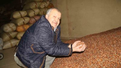 Türkiye’nin önemli fındık üretim merkezlerinden Giresun’da serbest piyasada fındık fiyatları