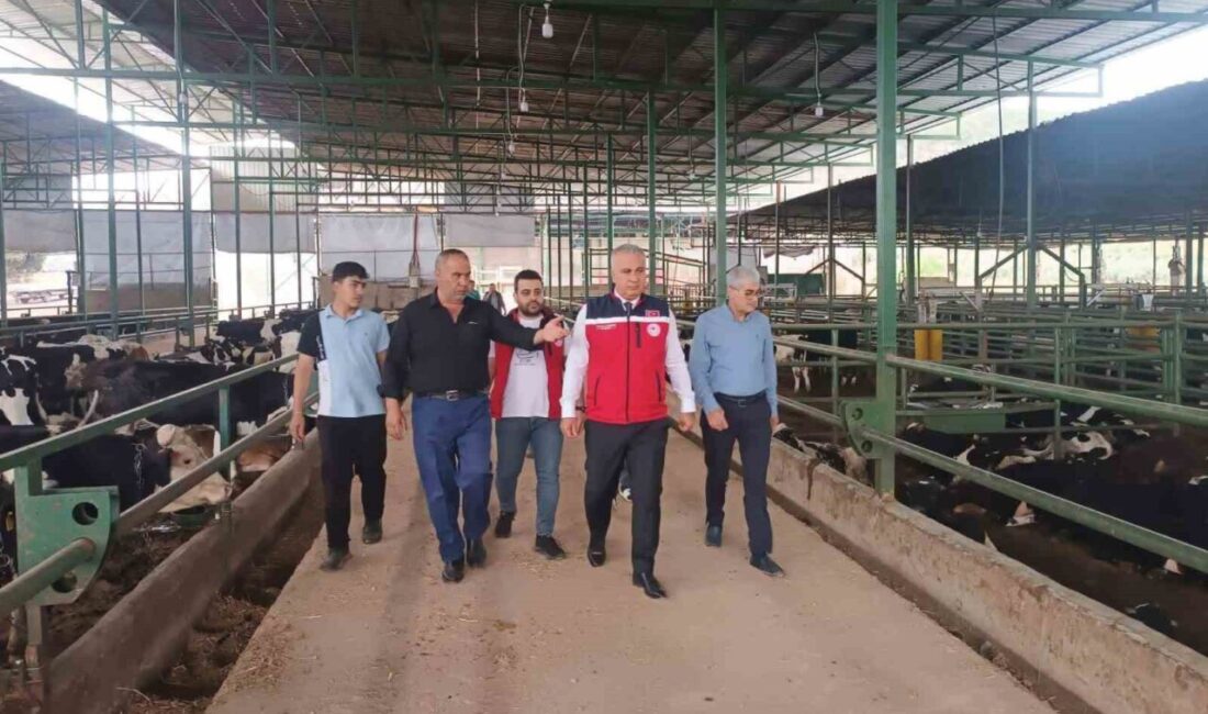 Hatay’daKurban Bayramı öncesinde bulaşıcı hayvan hastalıklarının önlenmesi ve güvenilir hayvan