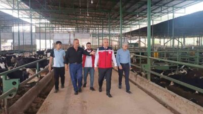 Hatay’daKurban Bayramı öncesinde bulaşıcı hayvan hastalıklarının önlenmesi ve güvenilir hayvan