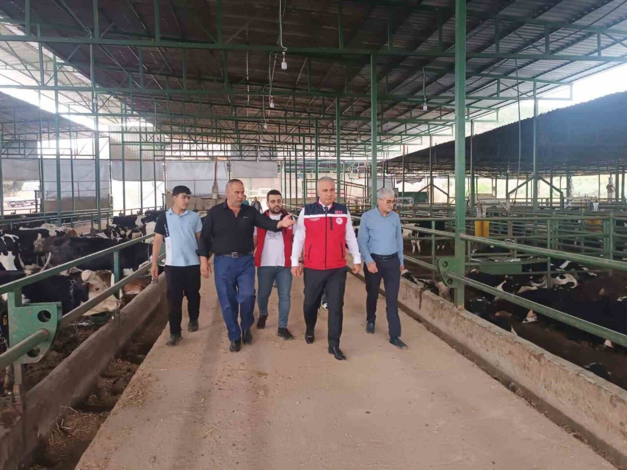 Hatay’daKurban Bayramı öncesinde bulaşıcı hayvan hastalıklarının önlenmesi ve güvenilir hayvan