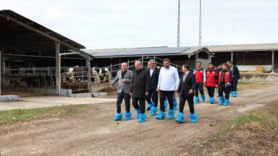 Çanakkale’nin Biga ilçesinde Kurban Bayramı öncesi büyükbaş hayvancılık ile uğraşan
