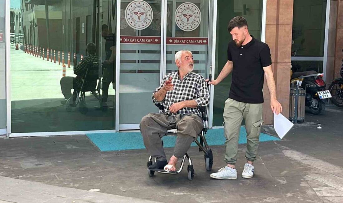 Kurban Bayramı’nın ilk saatleriyle birlikte Niğde’de ’acemi kasap’ manzaraları ortaya