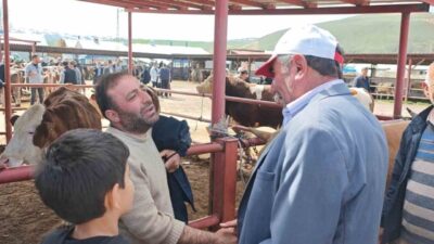 Yaklaşan Kurban Bayramı öncesi Erzurum’un Aşkale ilçesinde kurban pazarı hareketlenmeye