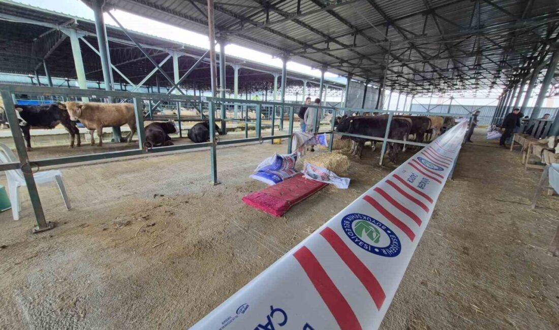 Eskişehir’de kurban bayramı öncesi hayvan pazarına gelen besiciler, alandaki fiziki