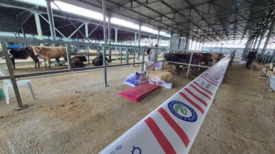 Eskişehir’de kurban bayramı öncesi hayvan pazarına gelen besiciler, alandaki fiziki