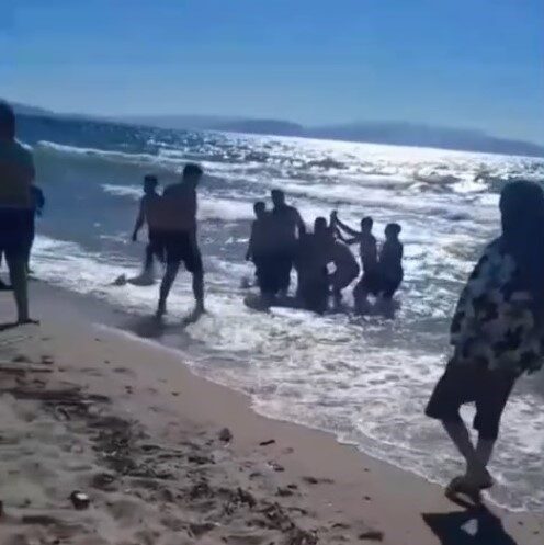 Aydın’ın Kuşadası ilçesine bağlı Davutlar Mahallesi’nde bulunan Sevgi Plajı’nda yaşanan