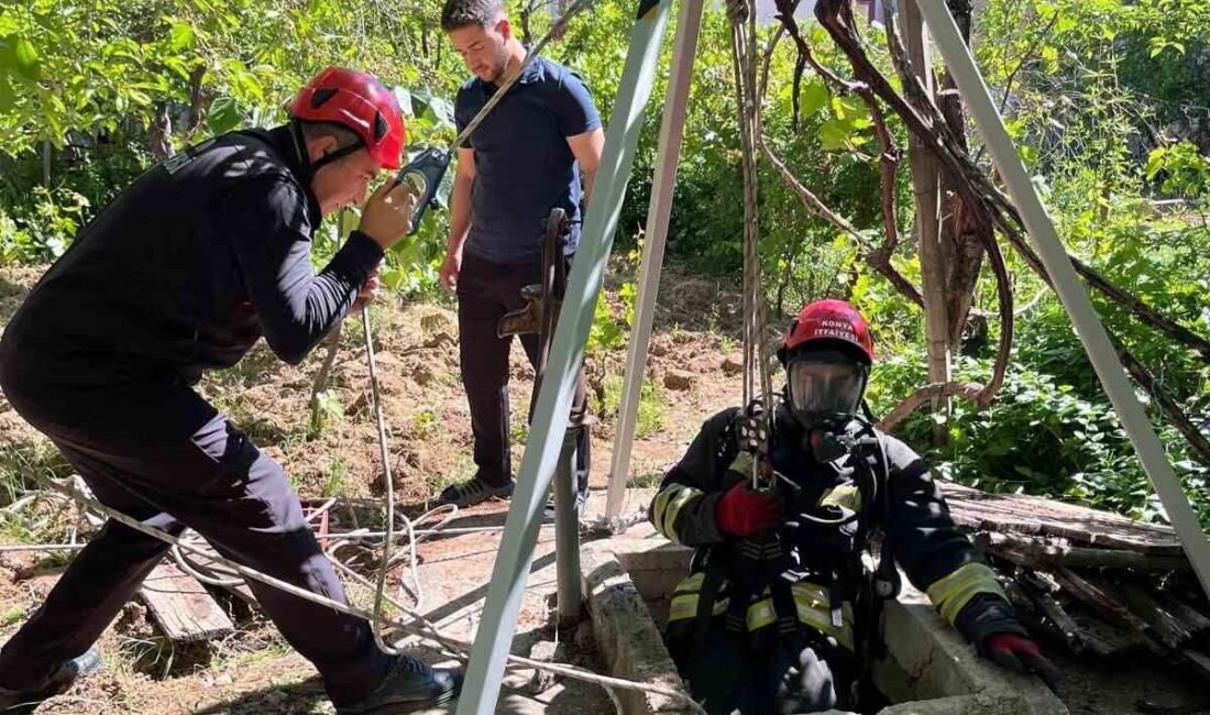 Konya’nın Seydişehir ilçesinde kuyuya düşen yavru kedi, itfaiye ekiplerinin yaklaşık