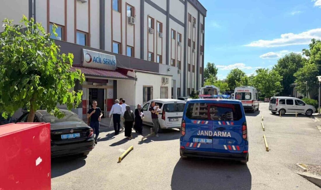 Adıyaman’ın Kahta ilçesinde kuzeni tarafından silahla vurulan şahıs yaralandı. Edinilen