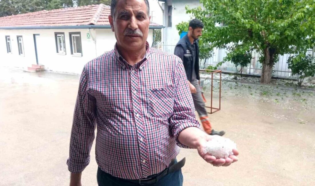 Malatya’da etkili olan dolu yağışı hayatı olumsuz etkilerken, kayısı üreticilerinde