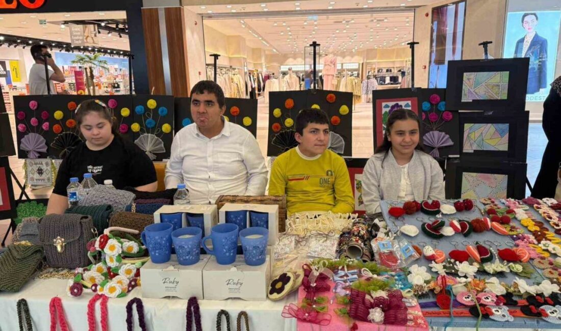 Engelliler Haftası nedeniyle özel eğitim kurumlarının hazırladığı sergi, Malatya Park
