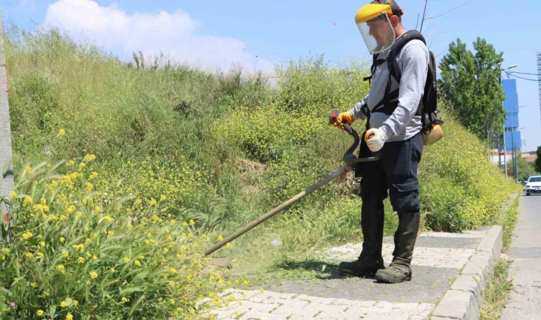 Maltepe Belediyesi, yaz mevsiminin gelmesiyle birlikte ilçe genelinde ot biçme,