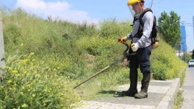 Maltepe Belediyesi, yaz mevsiminin gelmesiyle birlikte ilçe genelinde ot biçme,