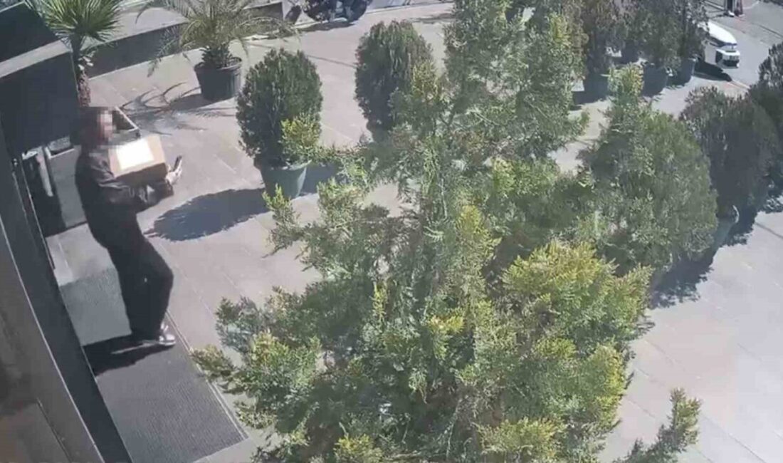 Maltepe’de düzenlenen uyuşturucu operasyonunda bir dükkana yurt dışından gelen kargo