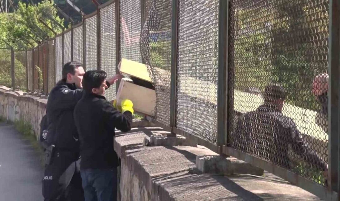 Maltepe’de ormanlık alan içinde kendini asmış şekilde erkek cesedi bulundu