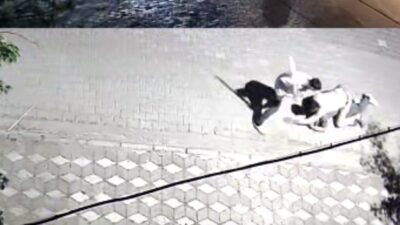 Manisa’da sokakta karşılaşan şahıslar arasında kız meselesi yüzünden çıkan ve