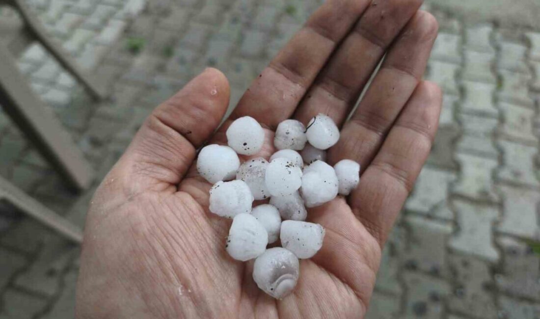 Manisa’nın Demirci ilçesinde etkili olan şiddetli dolu yağışı, kiraz bahçelerinde