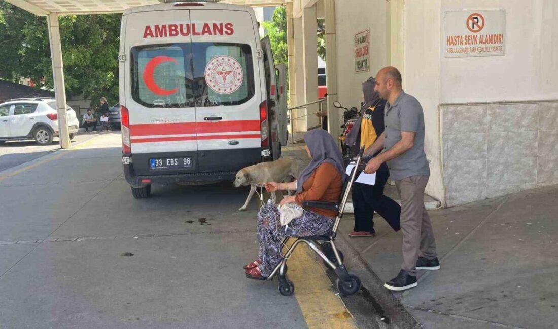 Mersin’in Erdemli ilçesinde topladıkları mantarı yiyen 7 kişi zehirlenme şüphesiyle