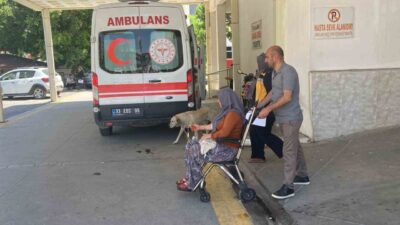 Mersin’in Erdemli ilçesinde topladıkları mantarı yiyen 7 kişi zehirlenme şüphesiyle