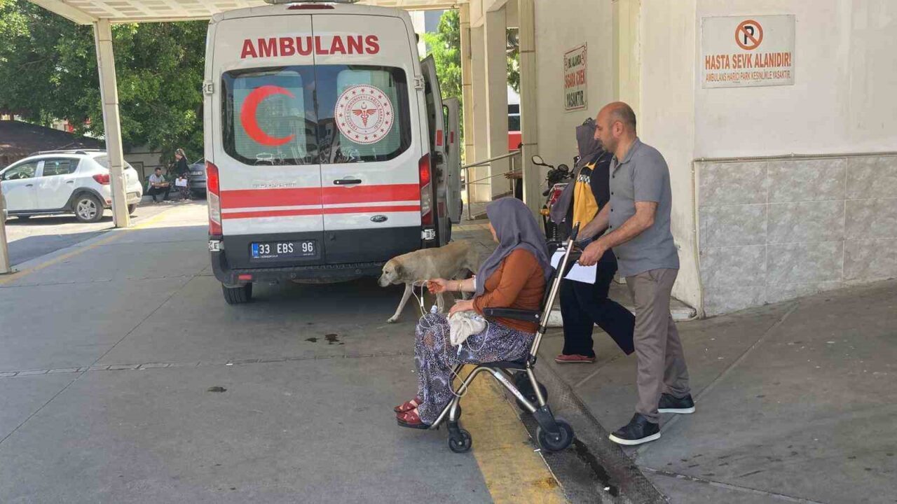 Mersin’in Erdemli ilçesinde topladıkları mantarı yiyen 7 kişi zehirlenme şüphesiyle