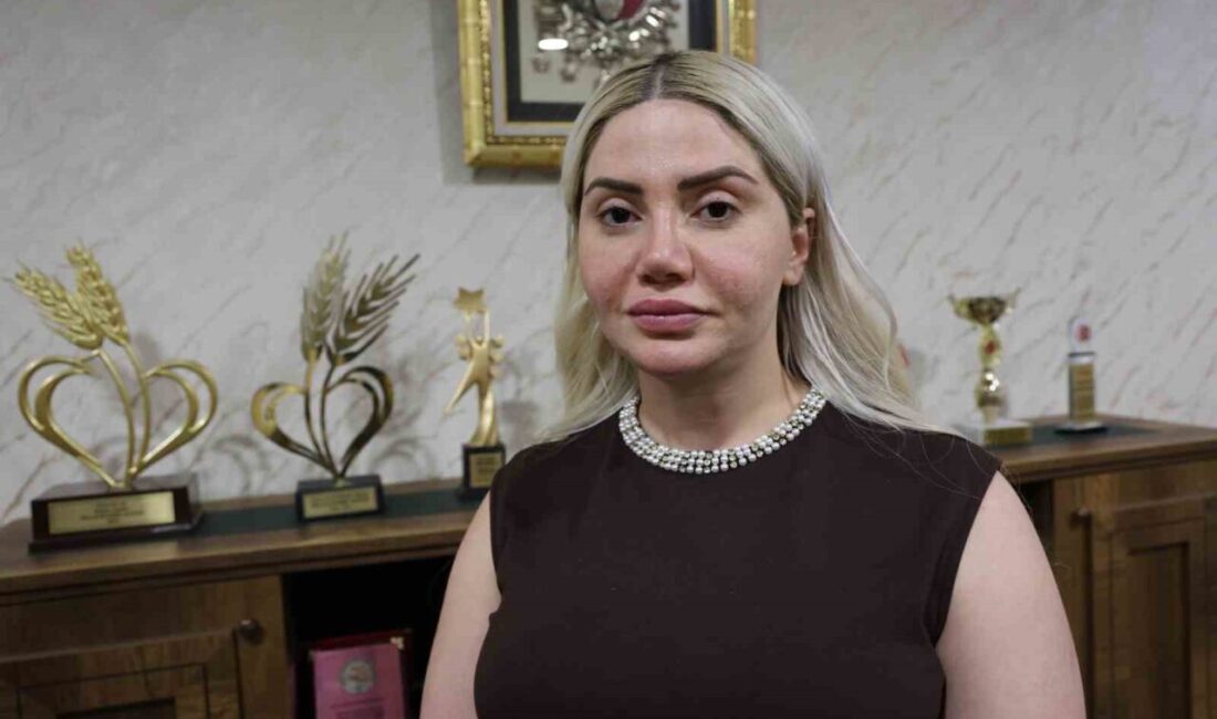 Mardin’de bir avukat, site üzerinden kiralamak istediği dairenin açıklama kısmında