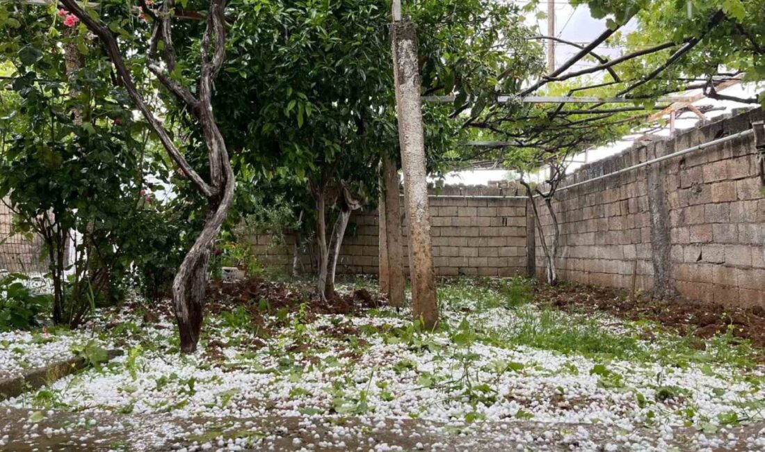 Mardin’in Nusaybin ilçesinde kısa süreli dolu yağışı etkili oldu. İlçede