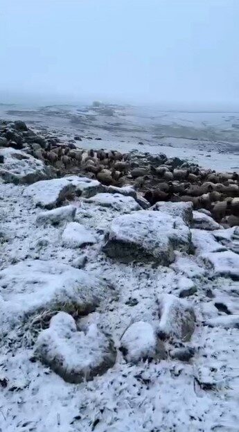 Türkiye’nin en soğuk kentlerinden biri olan Kars’ta Mayıs ayının son