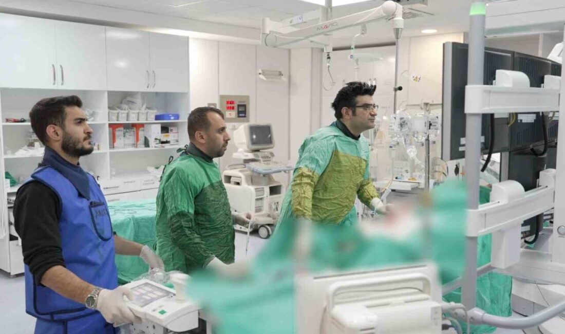 Malatya Eğitim ve Araştırma Hastanesi’nde (MEAH) aynı gün içerisinde gerçekleştirilen