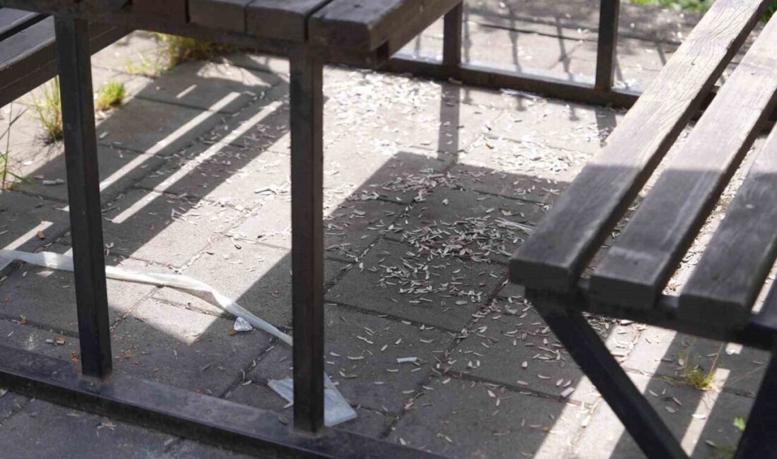 Düzce’nin nefes alma noktalarından Melen Su Park’ta piknikçilerin geride bıraktığı