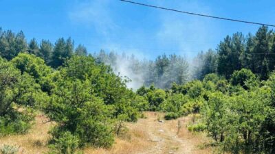 Muğla’nın Menteşe ilçesine bağlı kırsal Doğanköy Mahallesi’nde ormanlık alanda çıkan