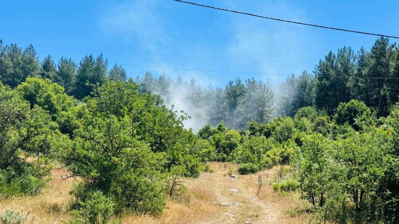 Muğla’nın Menteşe ilçesine bağlı kırsal Doğanköy Mahallesi’nde ormanlık alanda çıkan