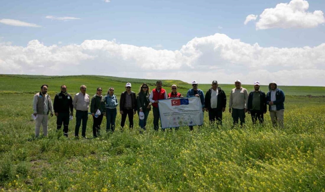 Eskişehir’in Yıldızören Mahallesi meralarında istilacı bir ot türü ile mekanik