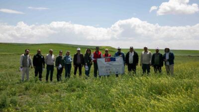 Eskişehir’in Yıldızören Mahallesi meralarında istilacı bir ot türü ile mekanik