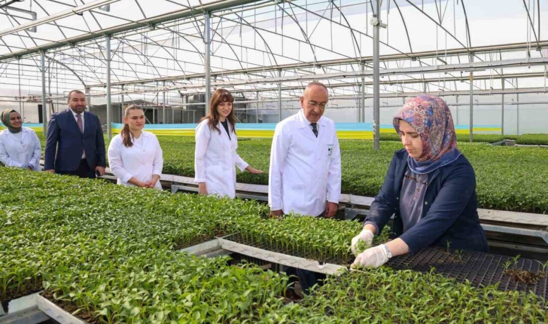 Konya’nın merkez Meram İlçe Belediyesi öncülüğünde kurulan Konya Fide’de yeni