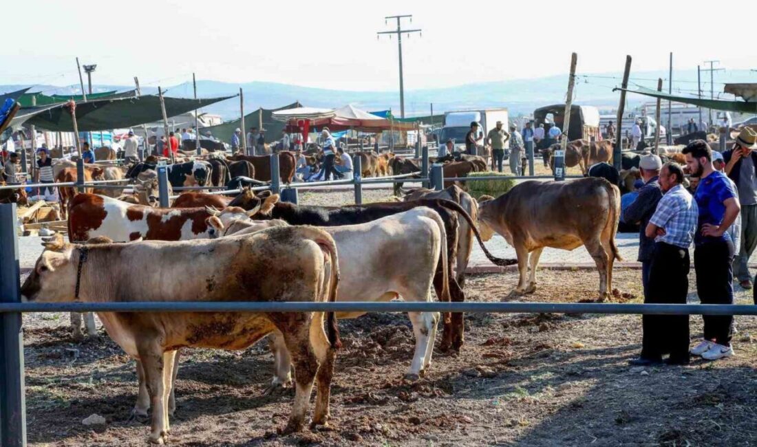 Yaklaşan Kurban Bayramı öncesinde Konya’nın merkez Meram İlçe Belediyesi, vatandaşların