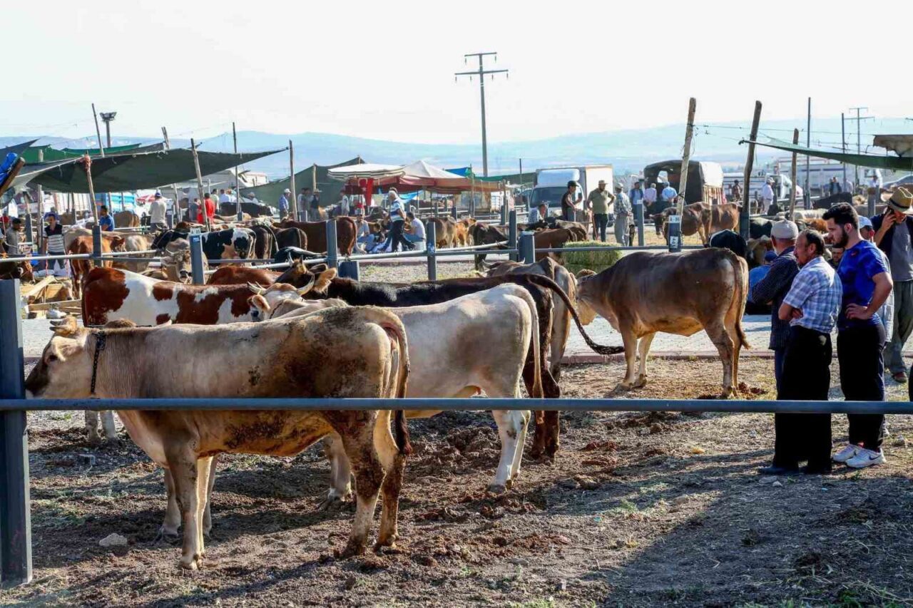 Yaklaşan Kurban Bayramı öncesinde Konya’nın merkez Meram İlçe Belediyesi, vatandaşların