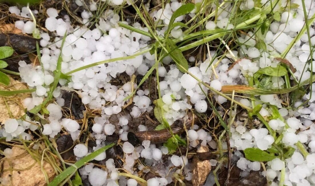 Mersin’de bayramın ikinci gününde yüksek kesimlerde etkili olan sağanak ve